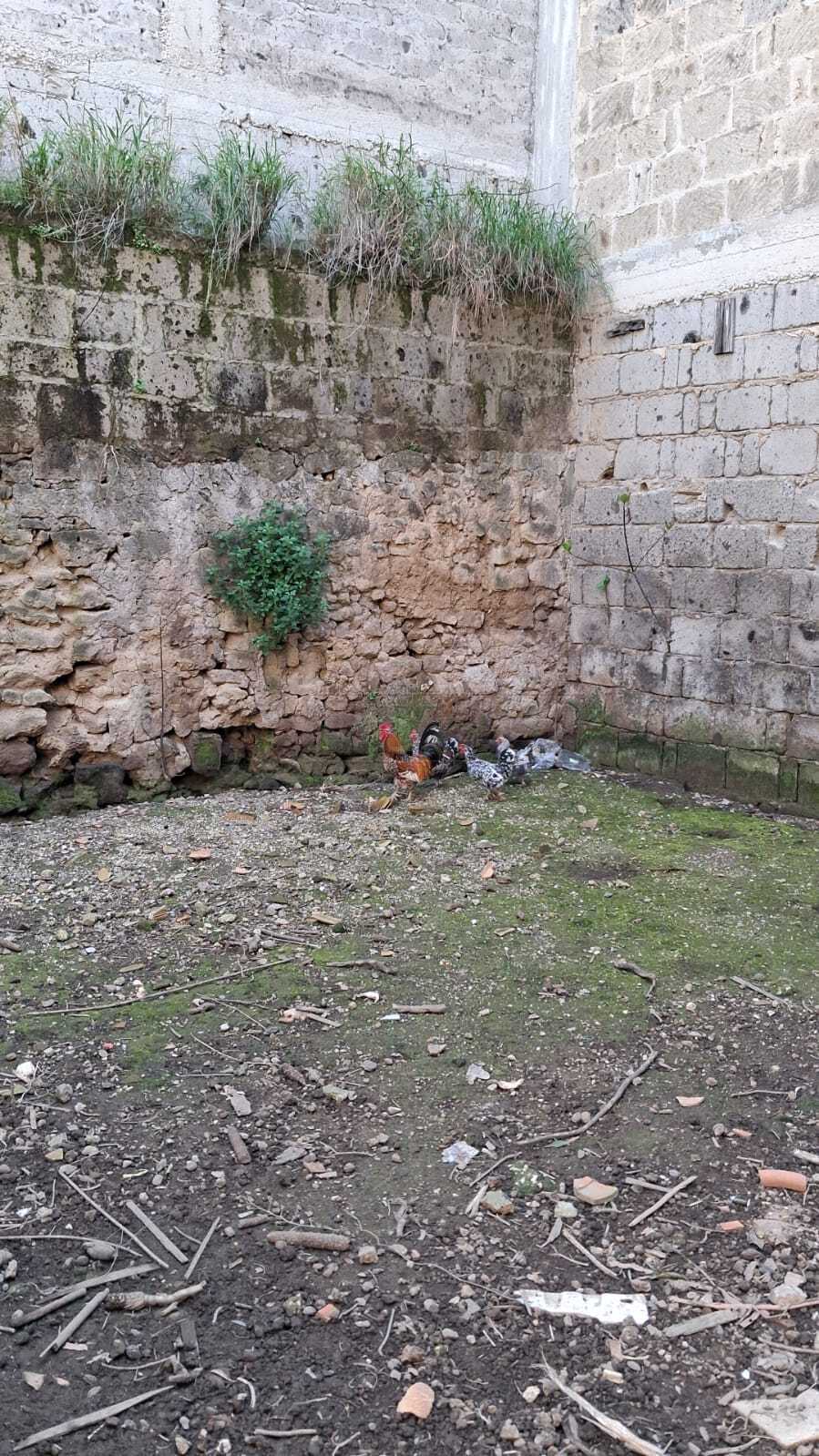  - foto 20