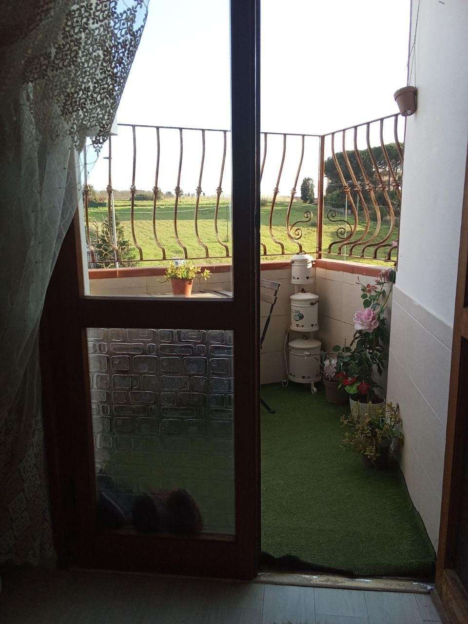  - foto 26