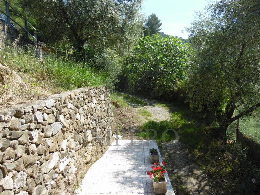  - foto 15