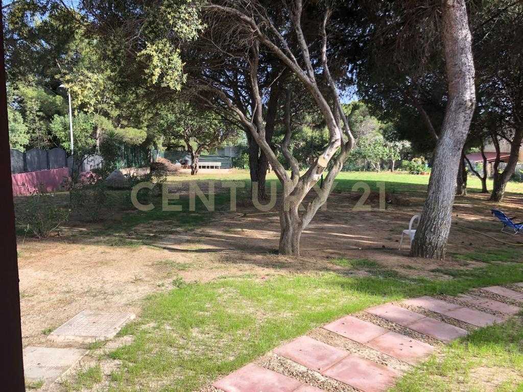  - foto 47