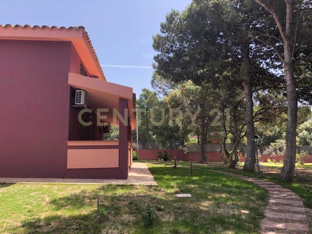  - foto 48