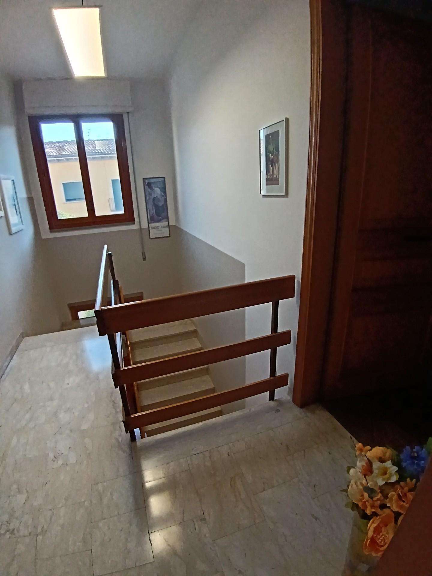  - foto 19