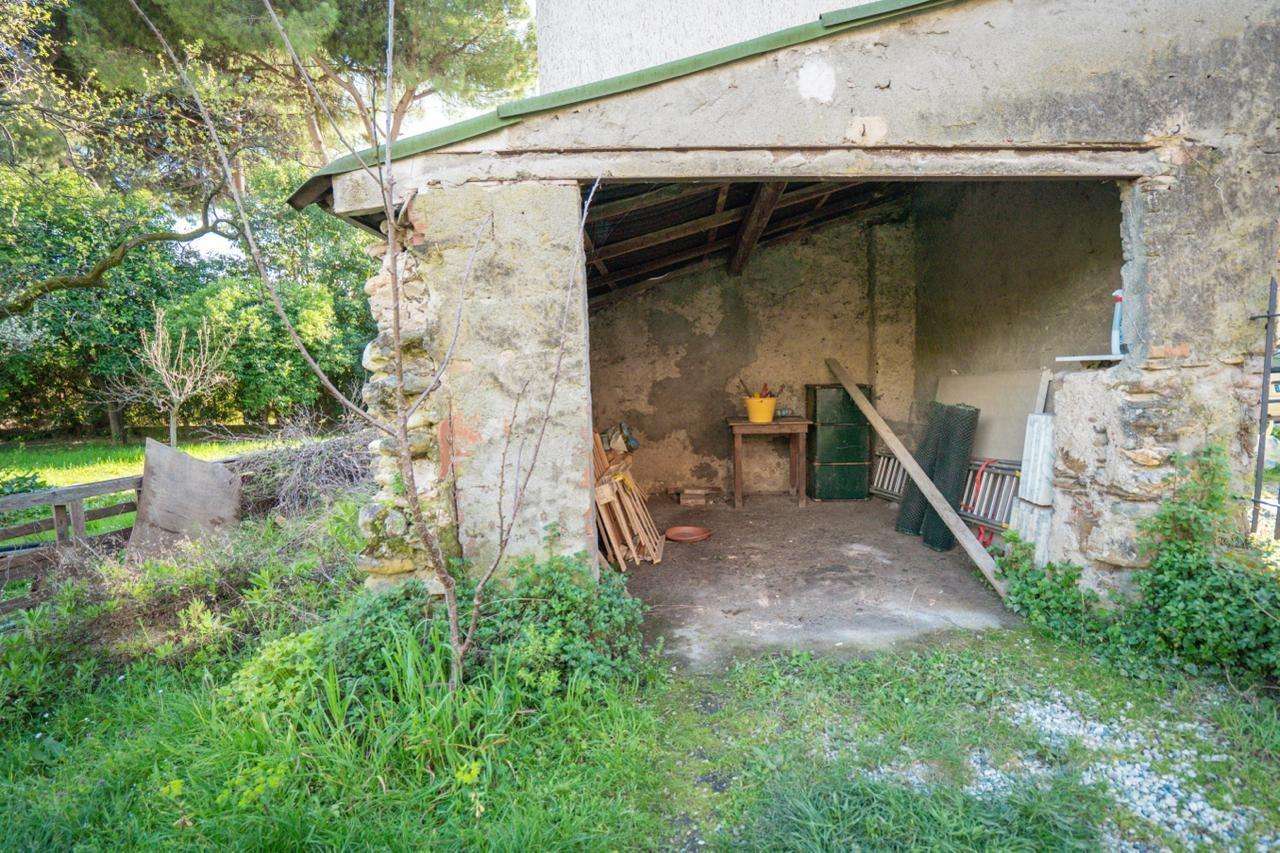  - foto 27
