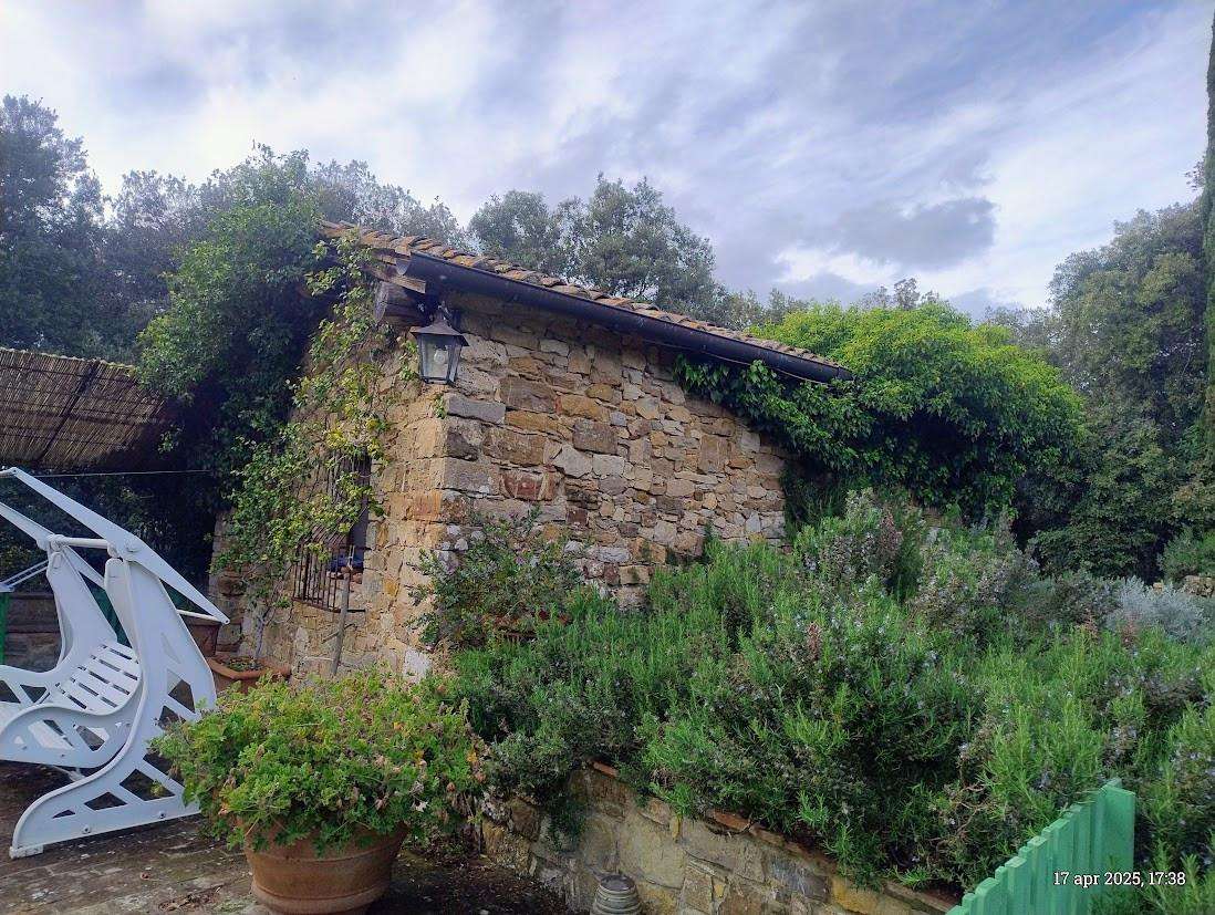  - foto 35