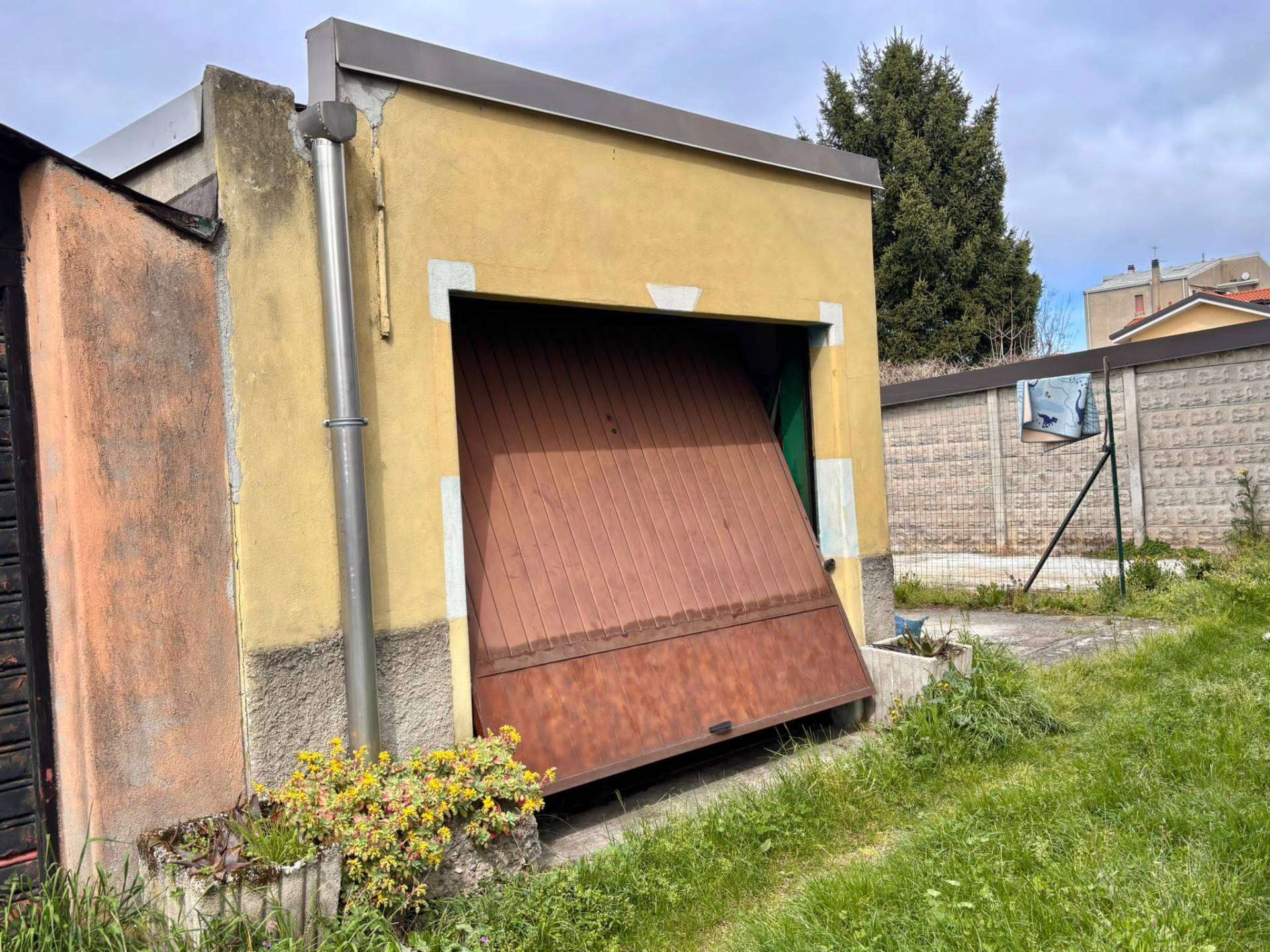 - foto 51