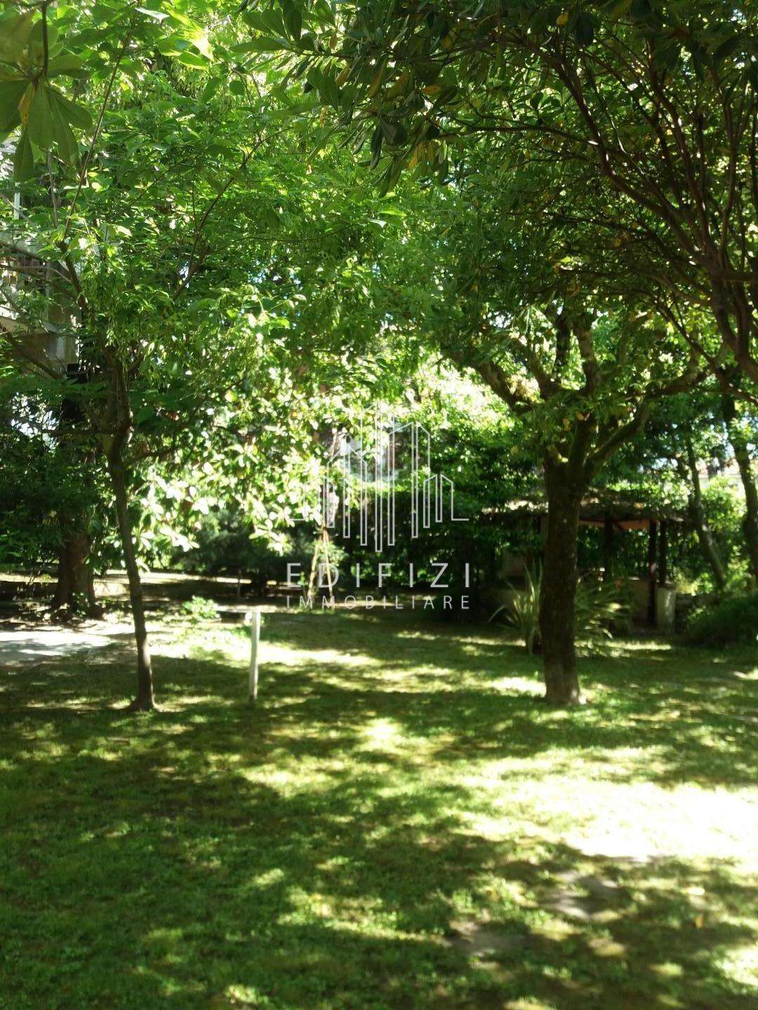  - foto 14