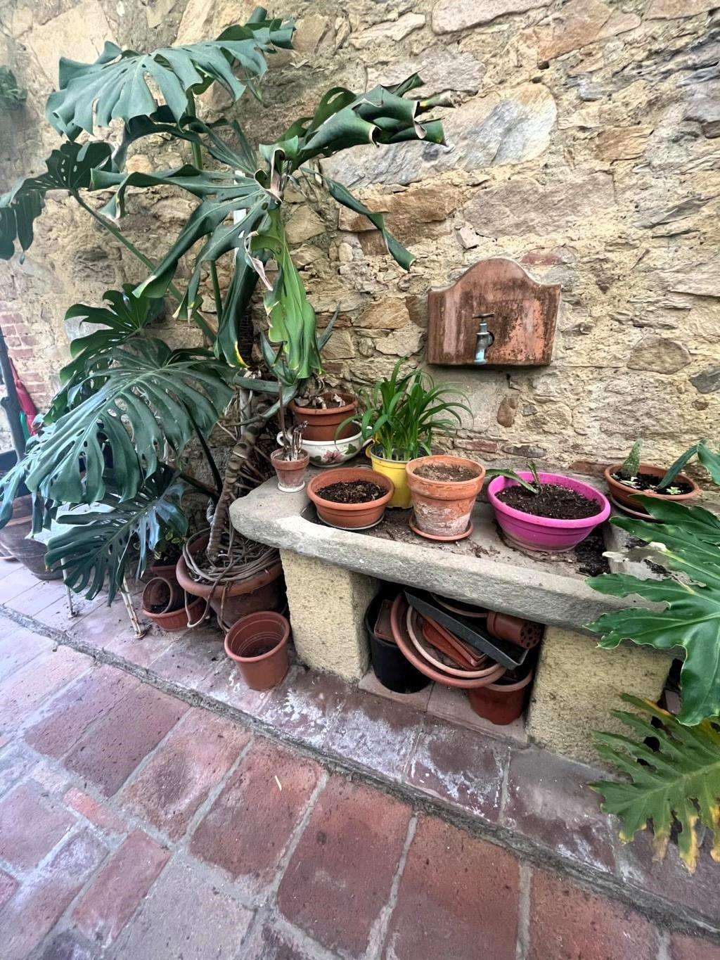  - foto 37