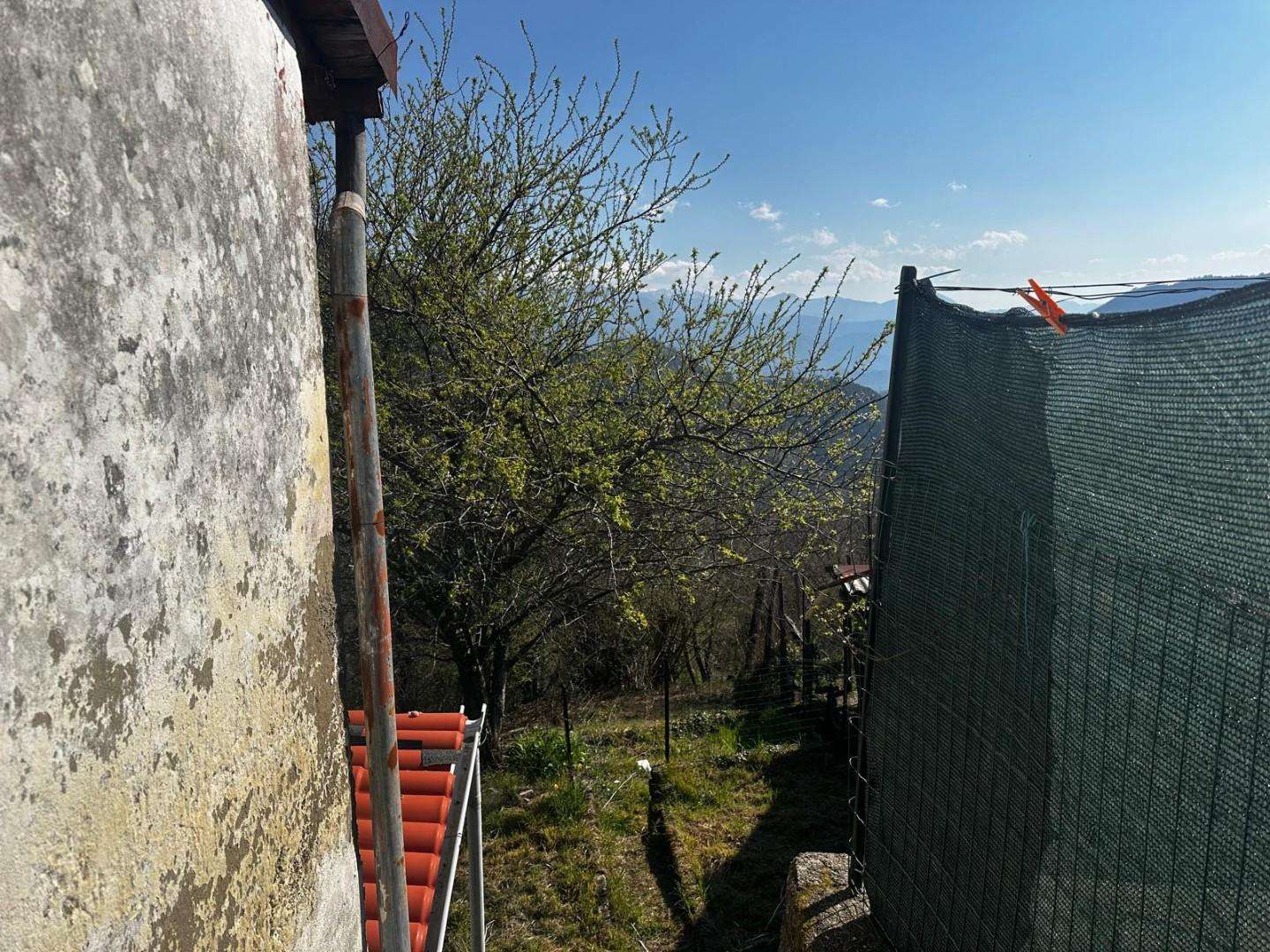  - foto 14