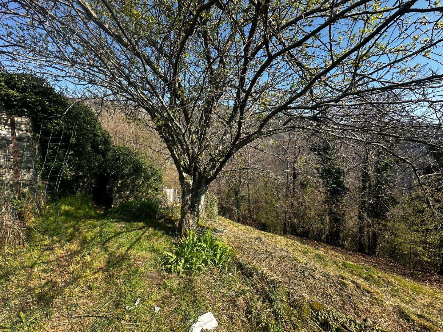  - foto 32