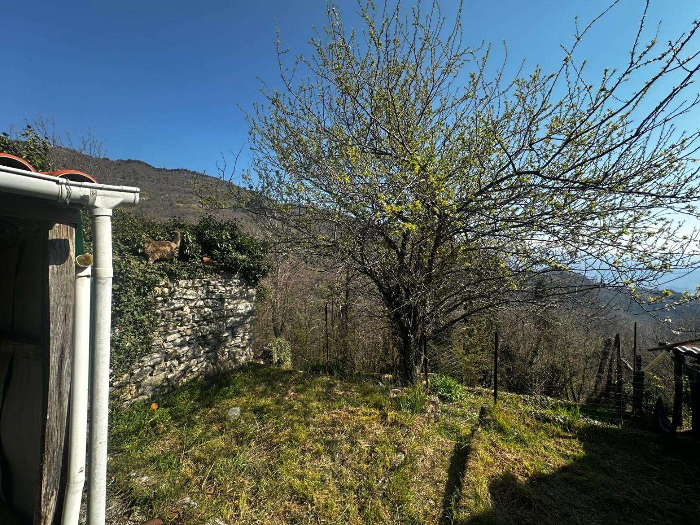  - foto 38