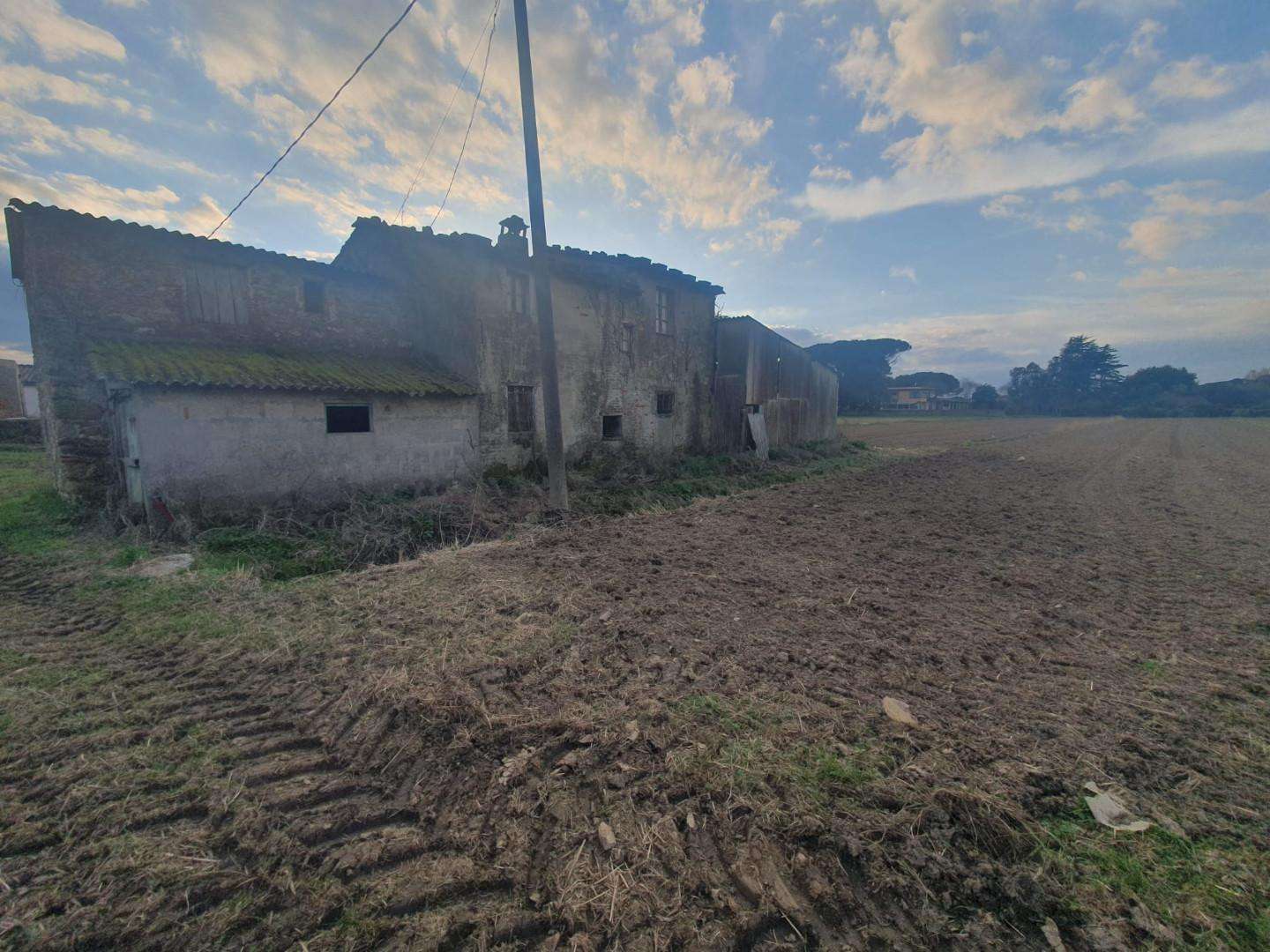  - foto 6