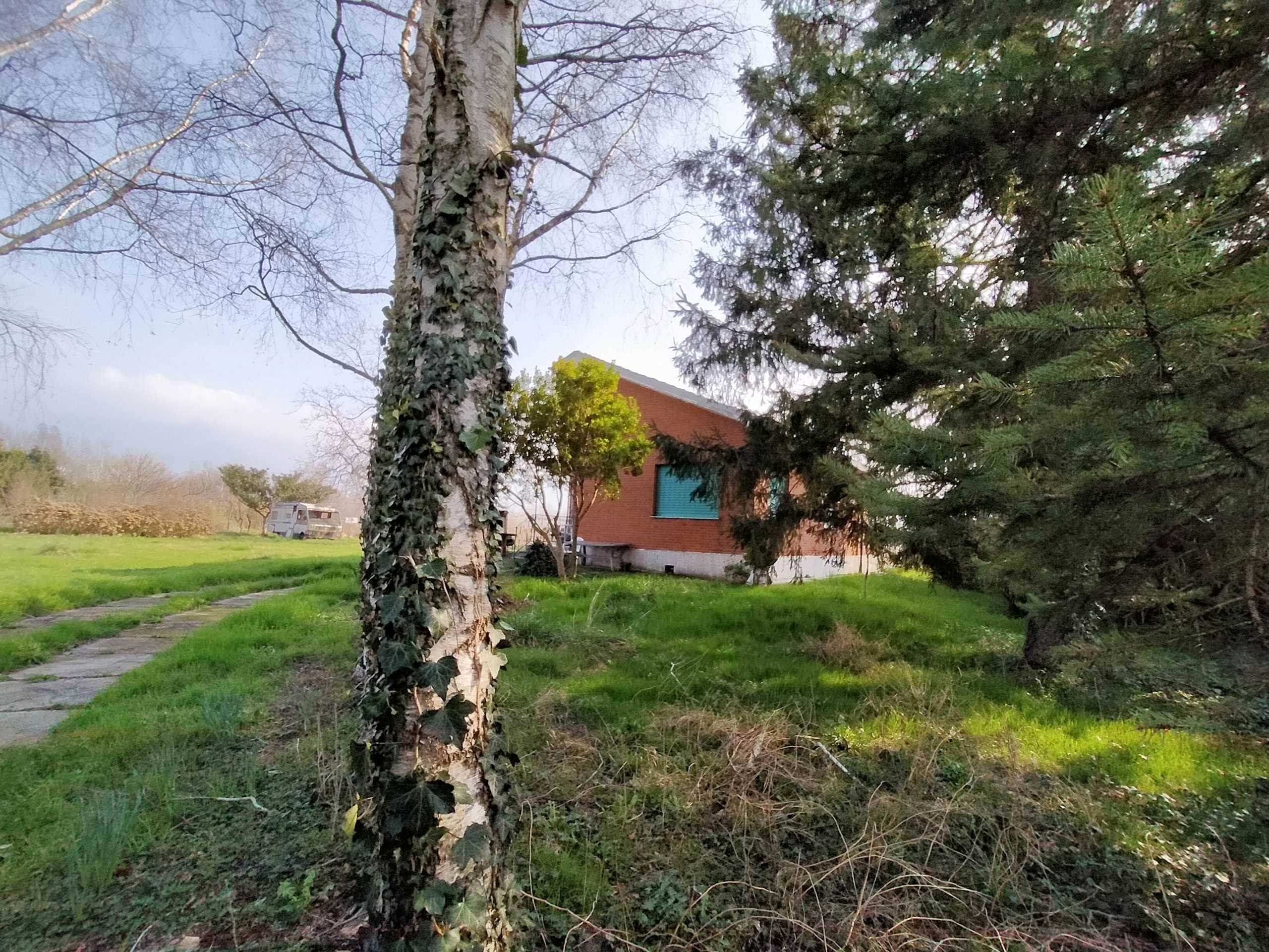  - foto 18