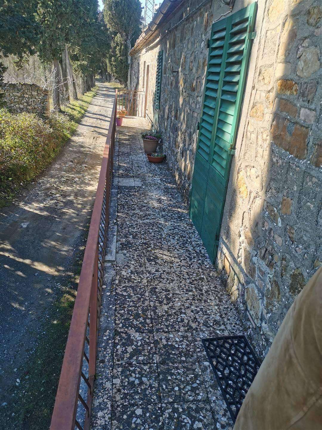  - foto 12