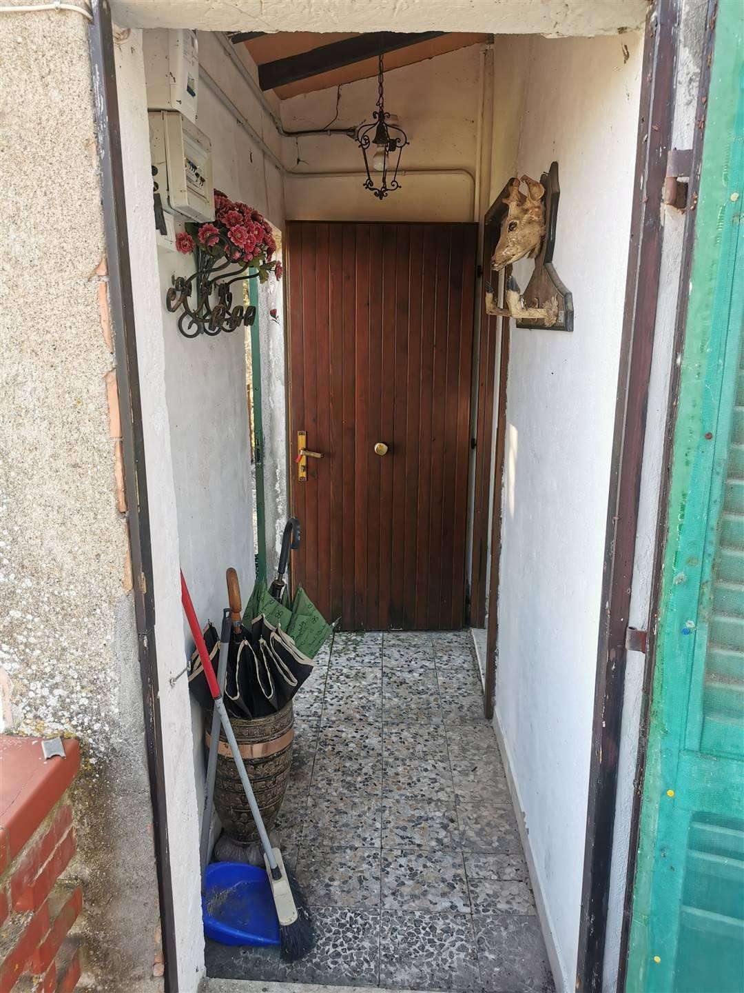  - foto 14