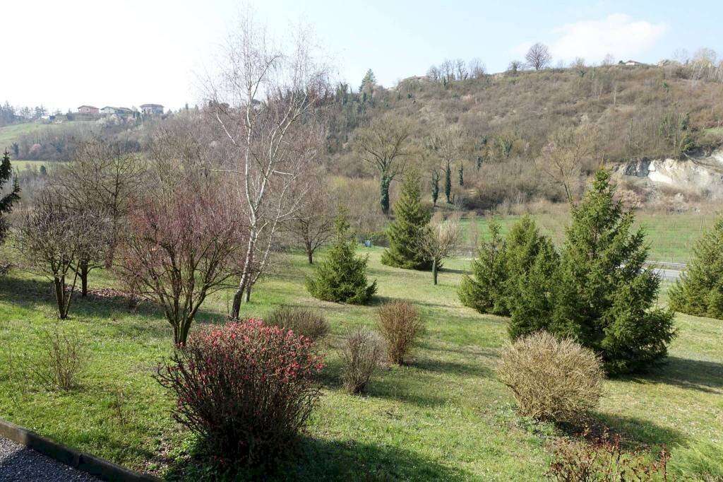  - foto 13