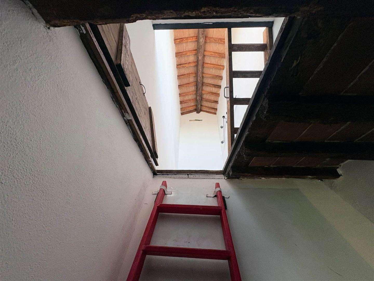  - foto 13
