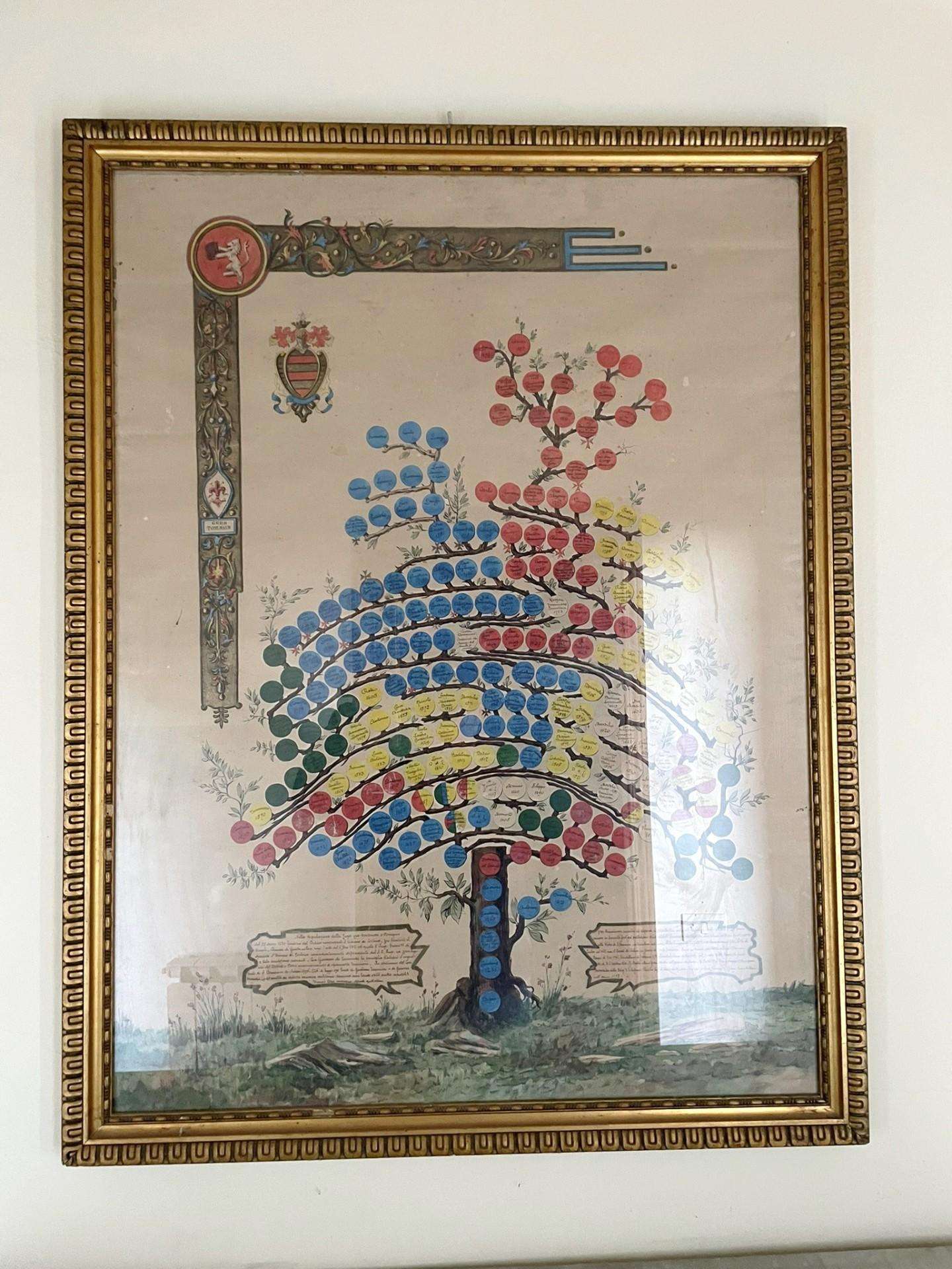  - foto 11