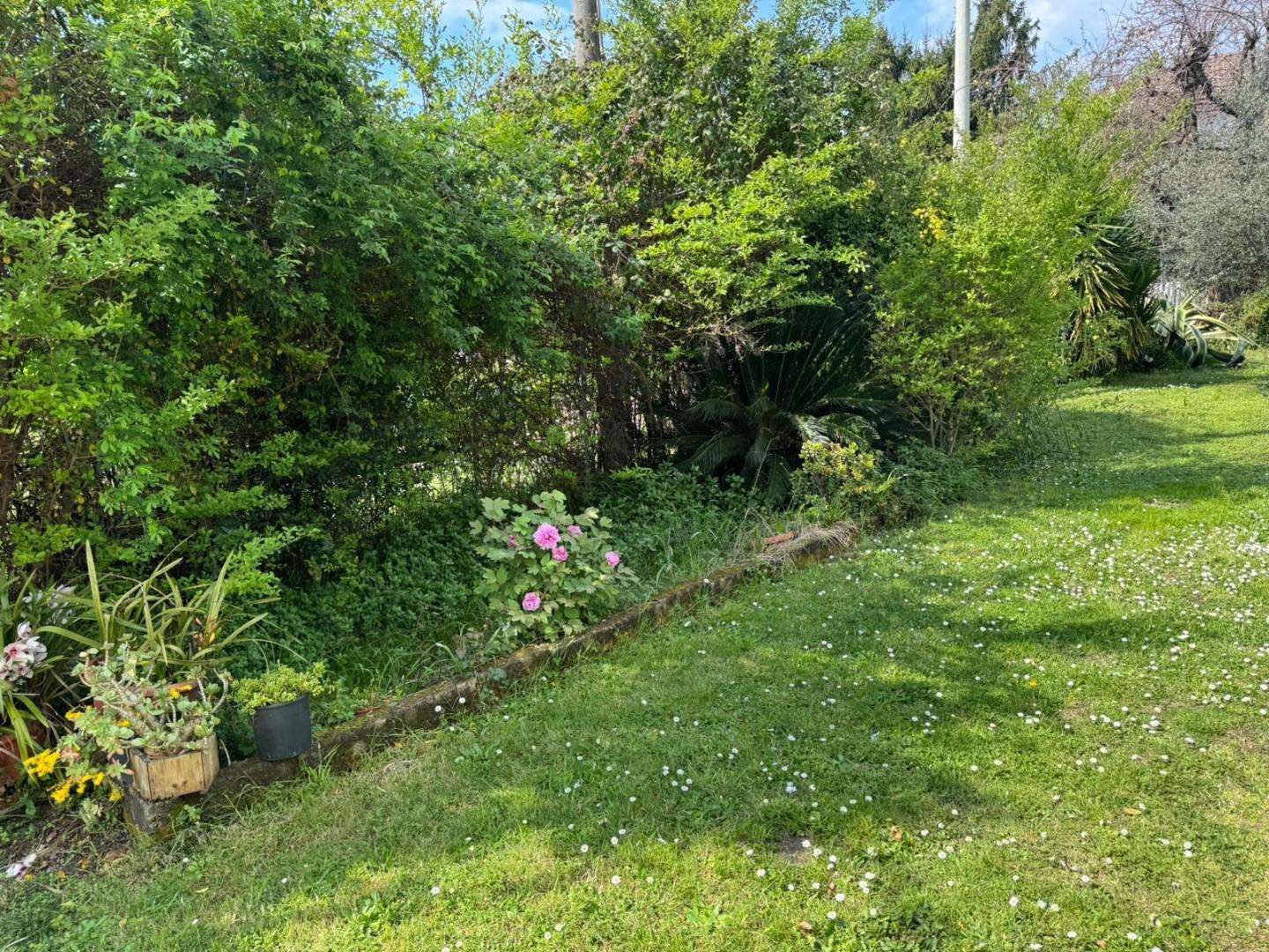  - foto 2