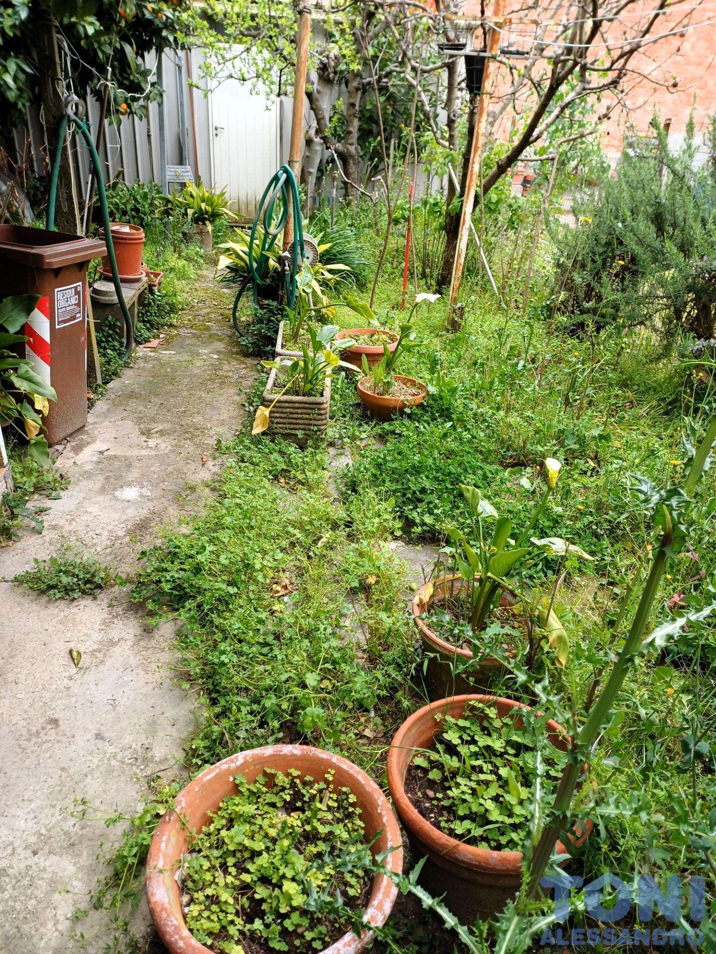  - foto 11