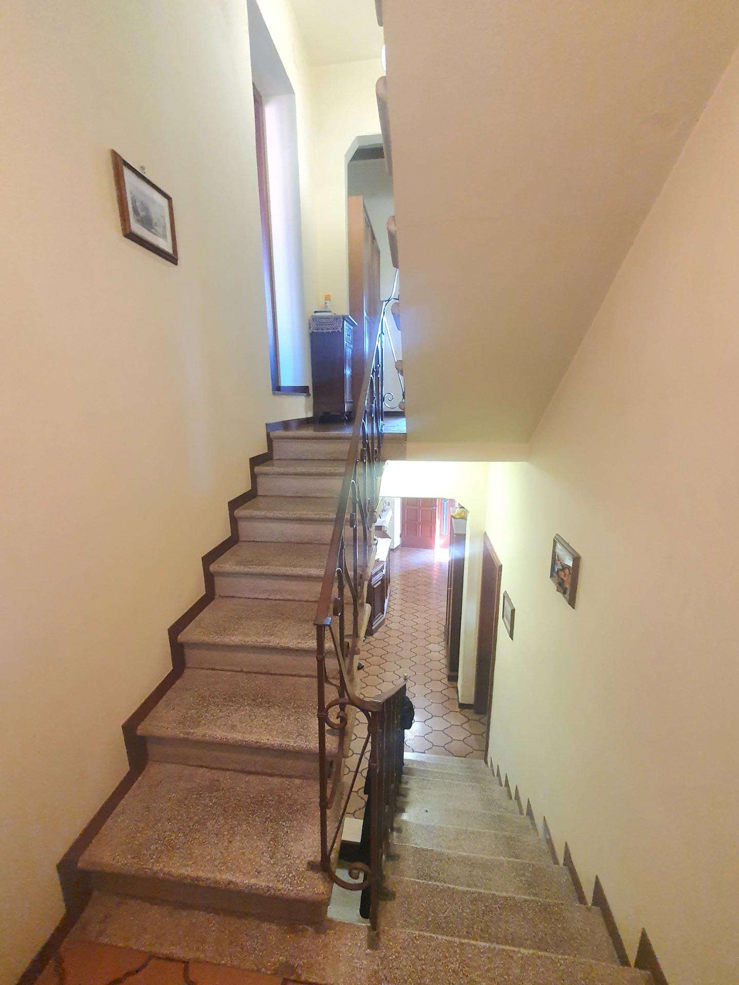  - foto 15