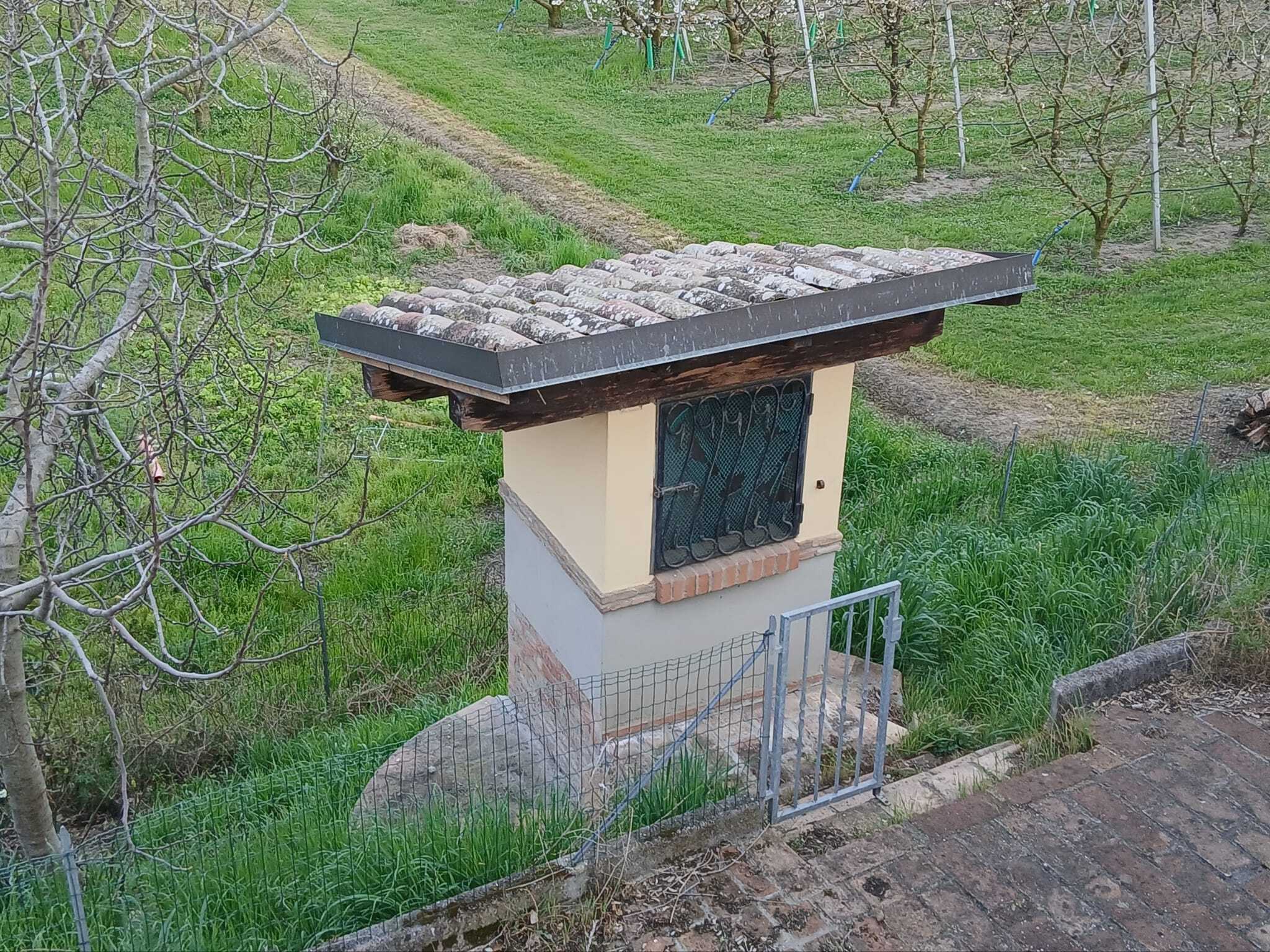  - foto 14