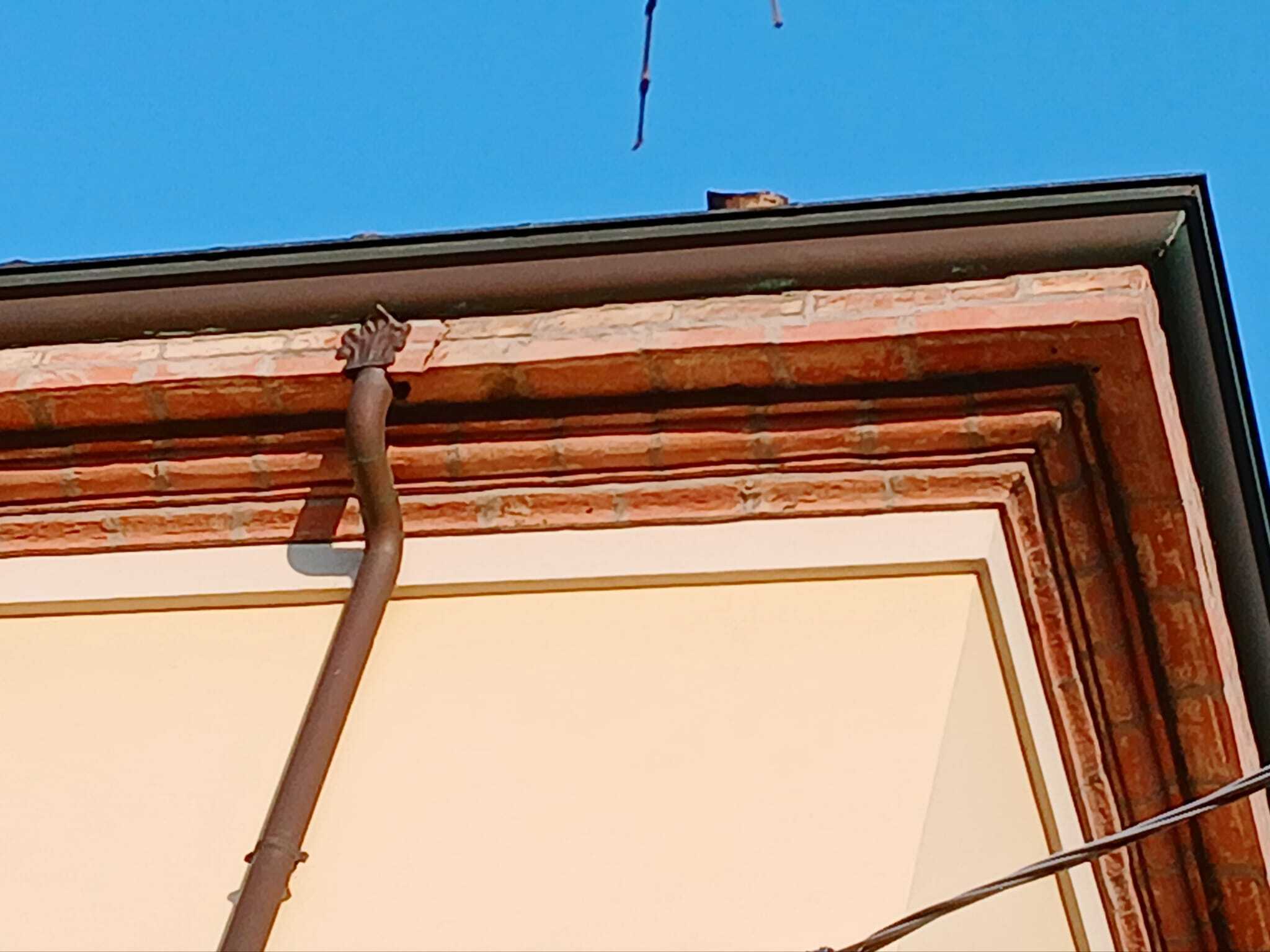  - foto 8