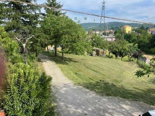  - foto 13