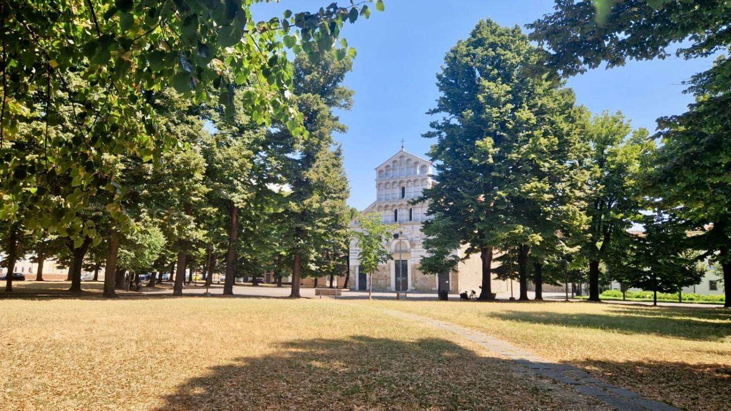  - foto 27