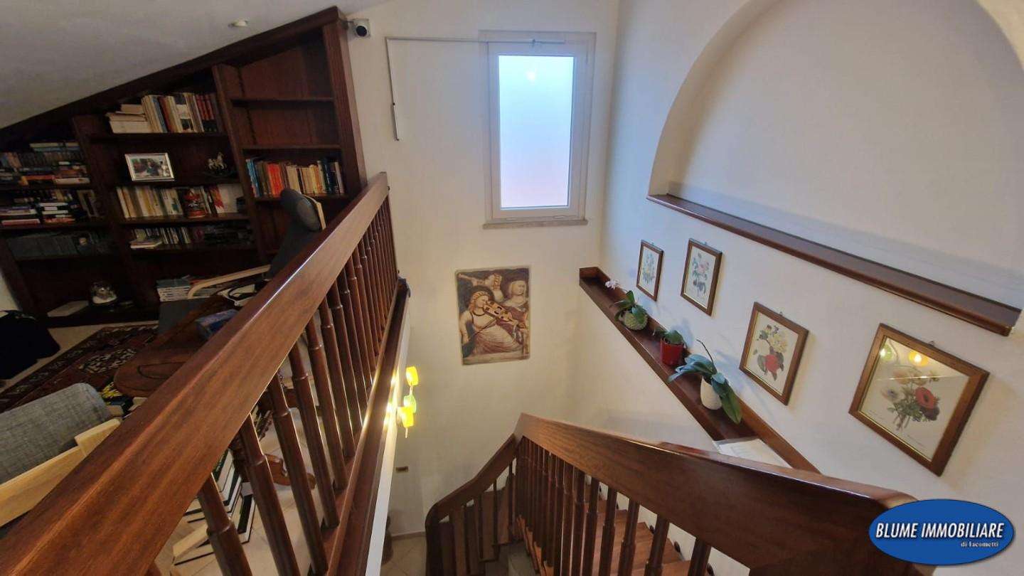  - foto 31