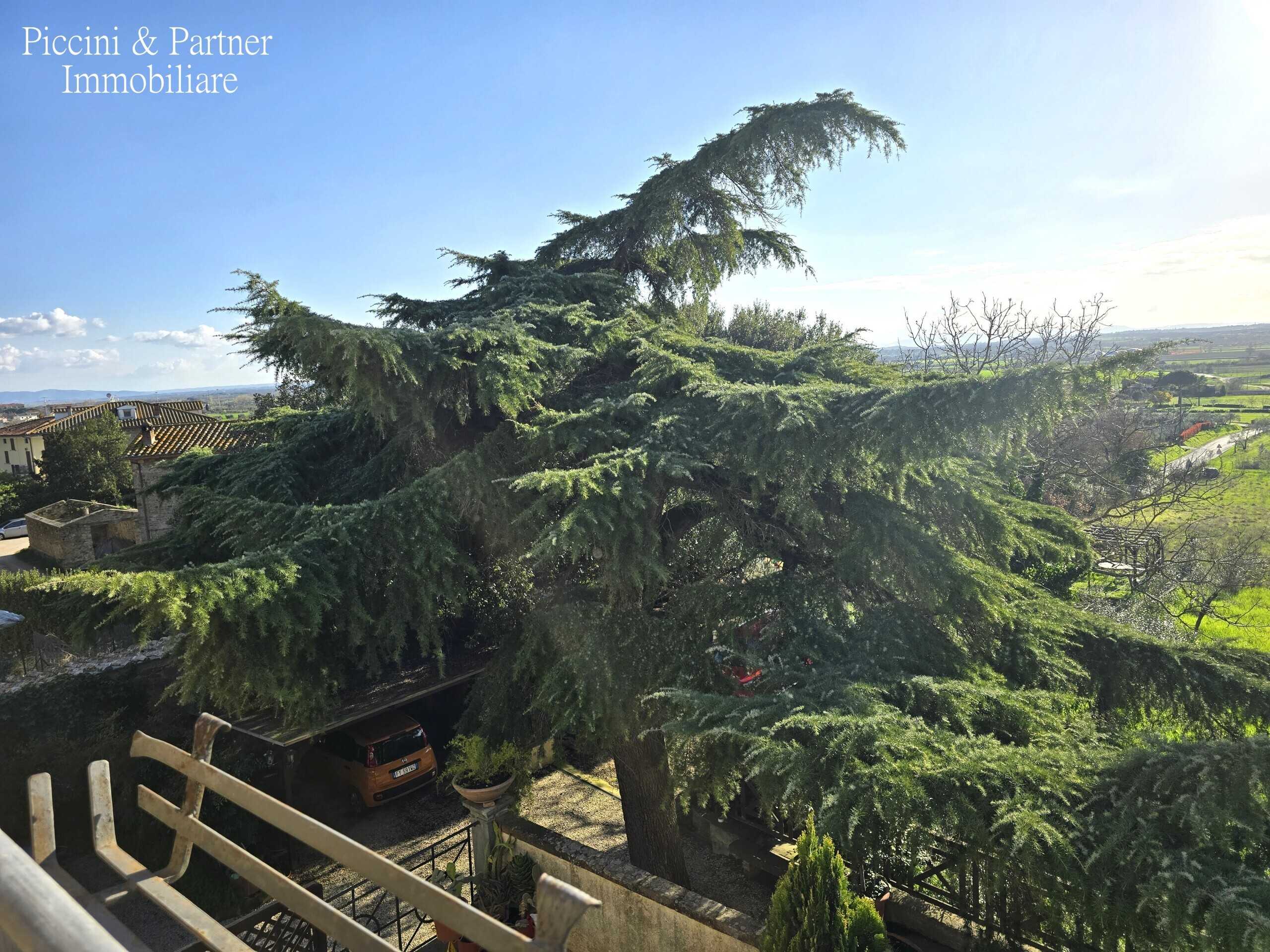  - foto 79