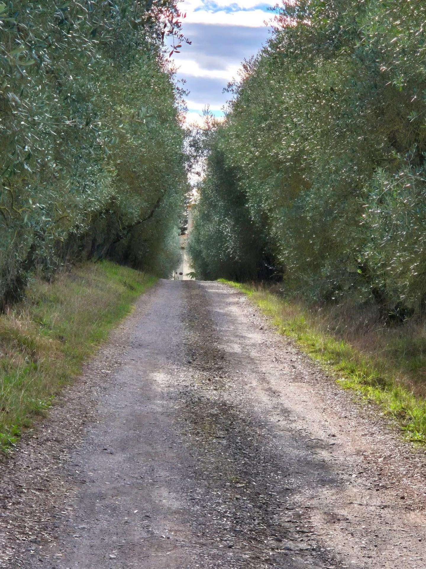  - foto 15