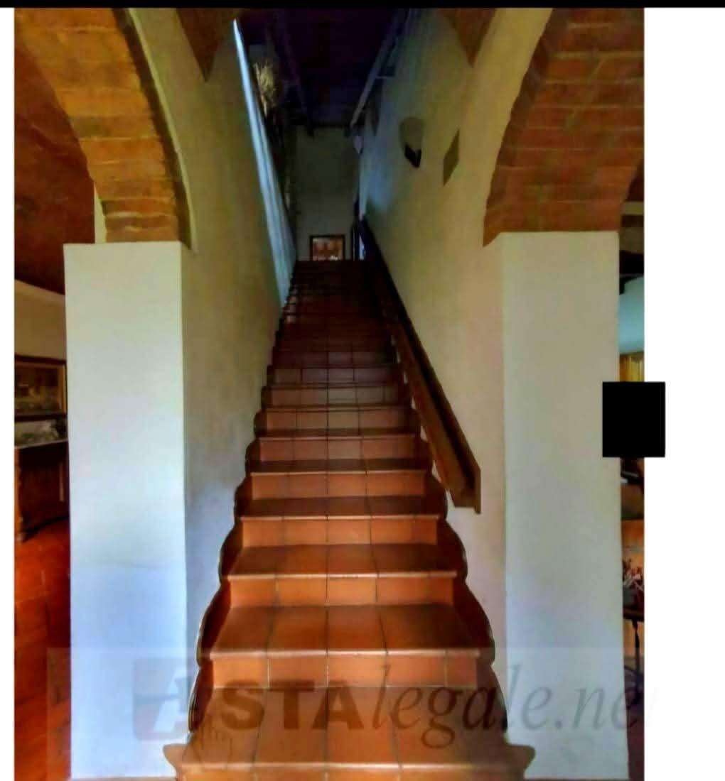  - foto 8