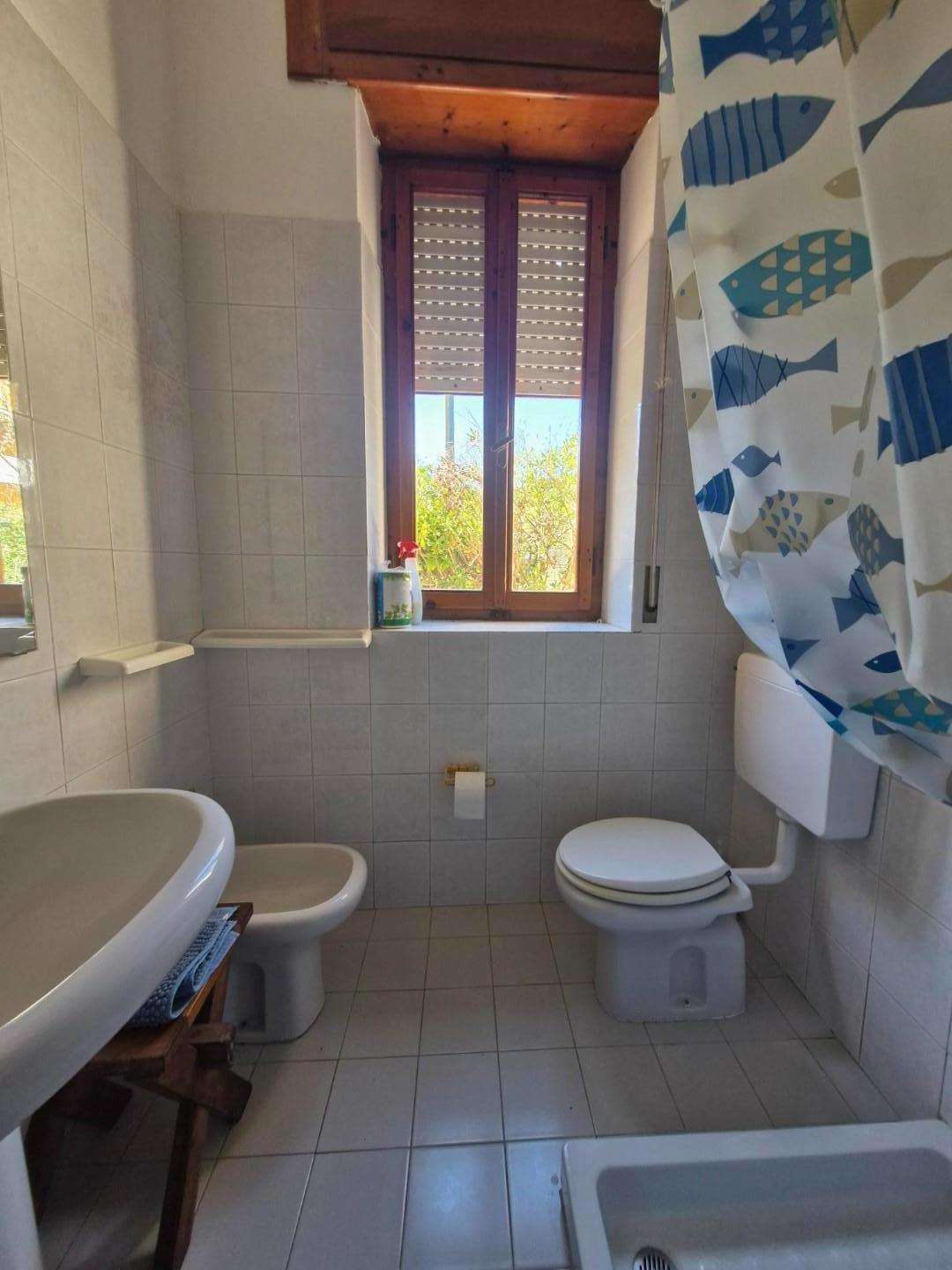  - foto 15