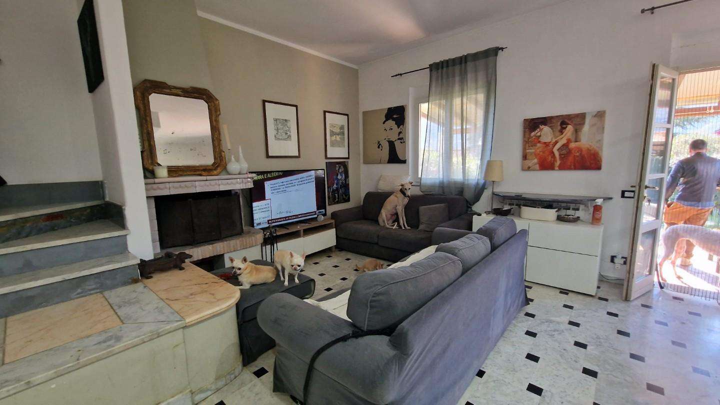  - foto 4