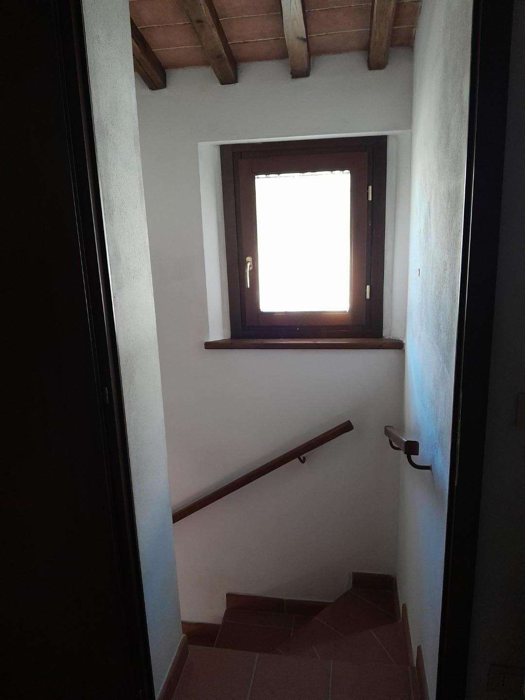  - foto 14