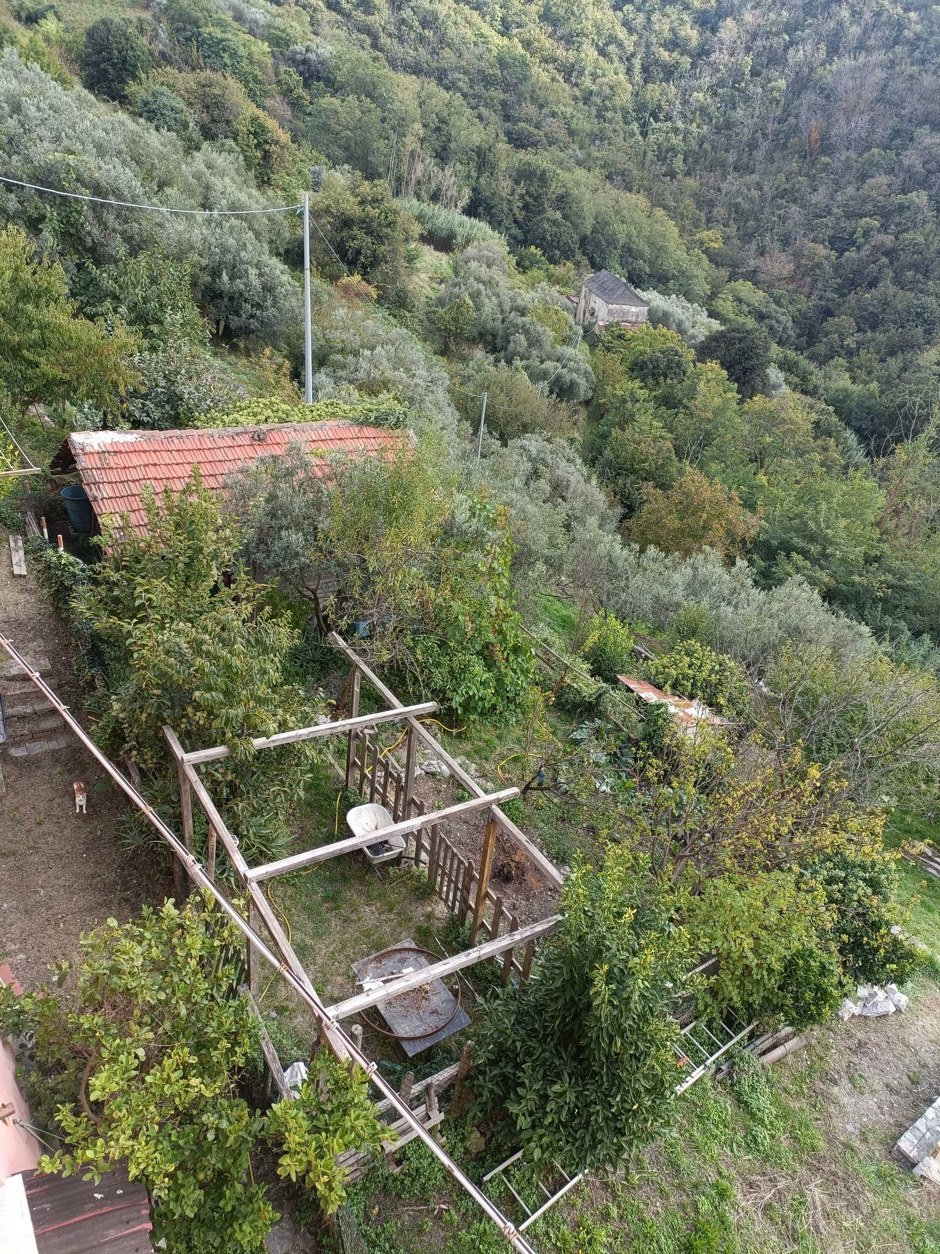  - foto 56