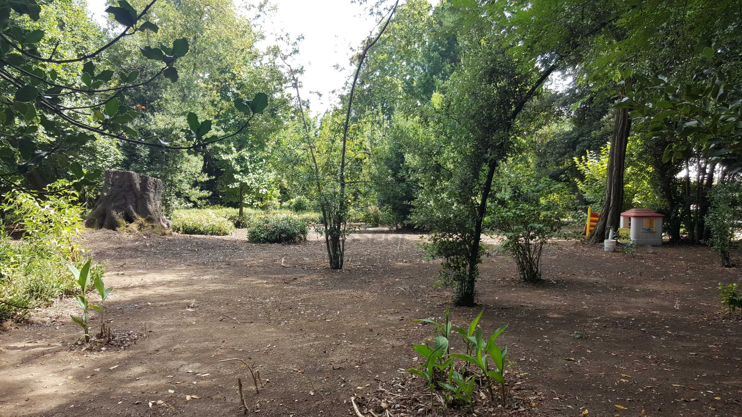  - foto 18