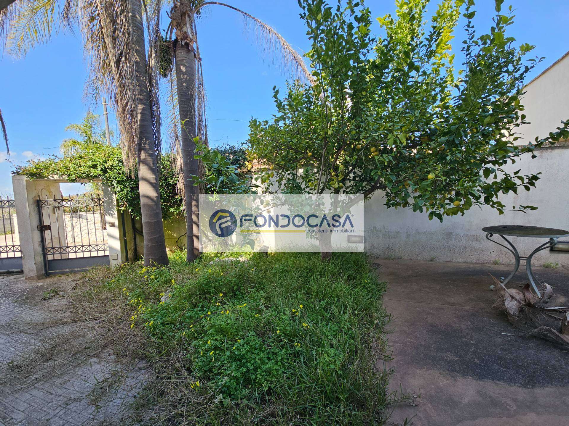  - foto 4