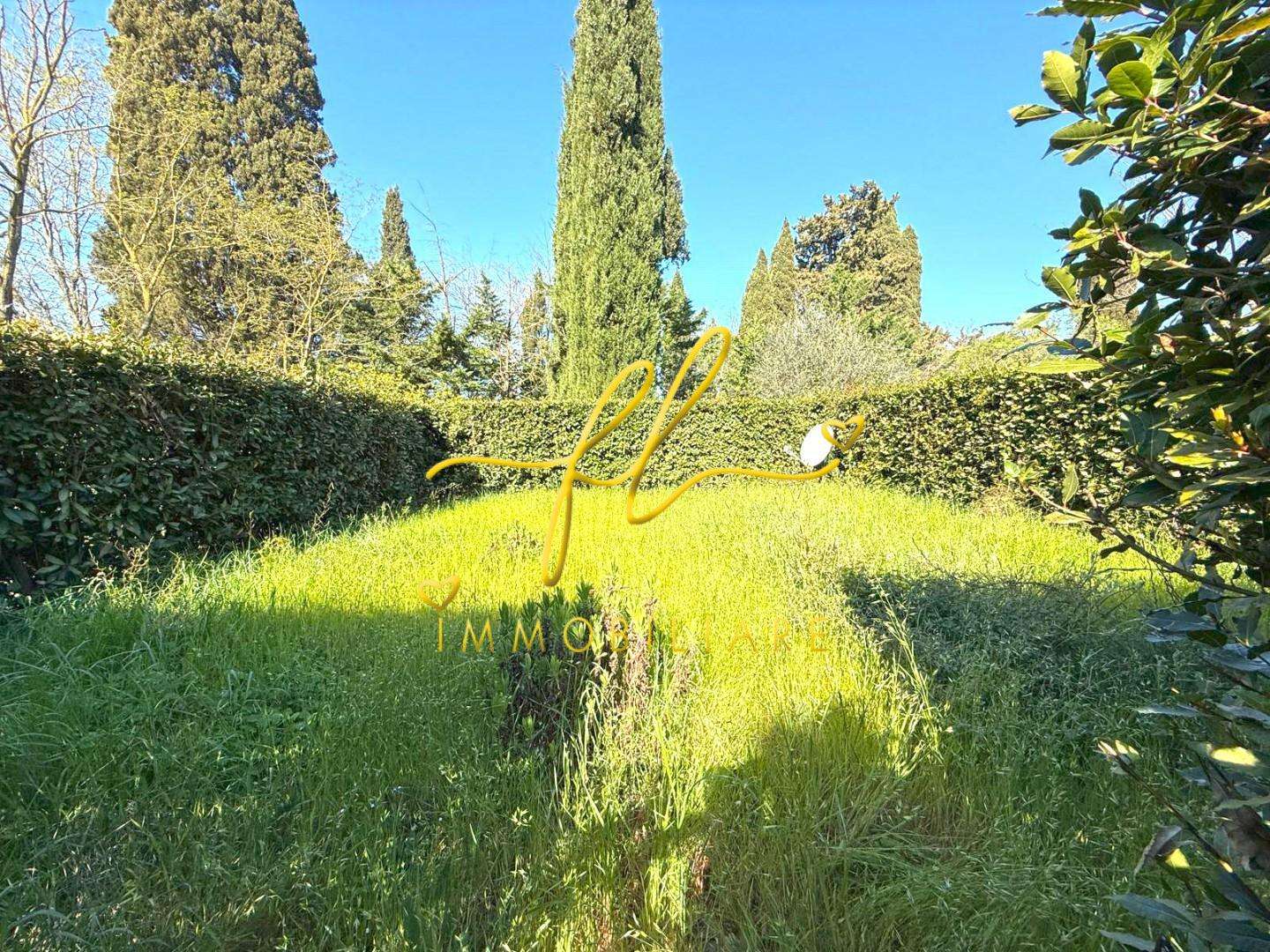  - foto 18