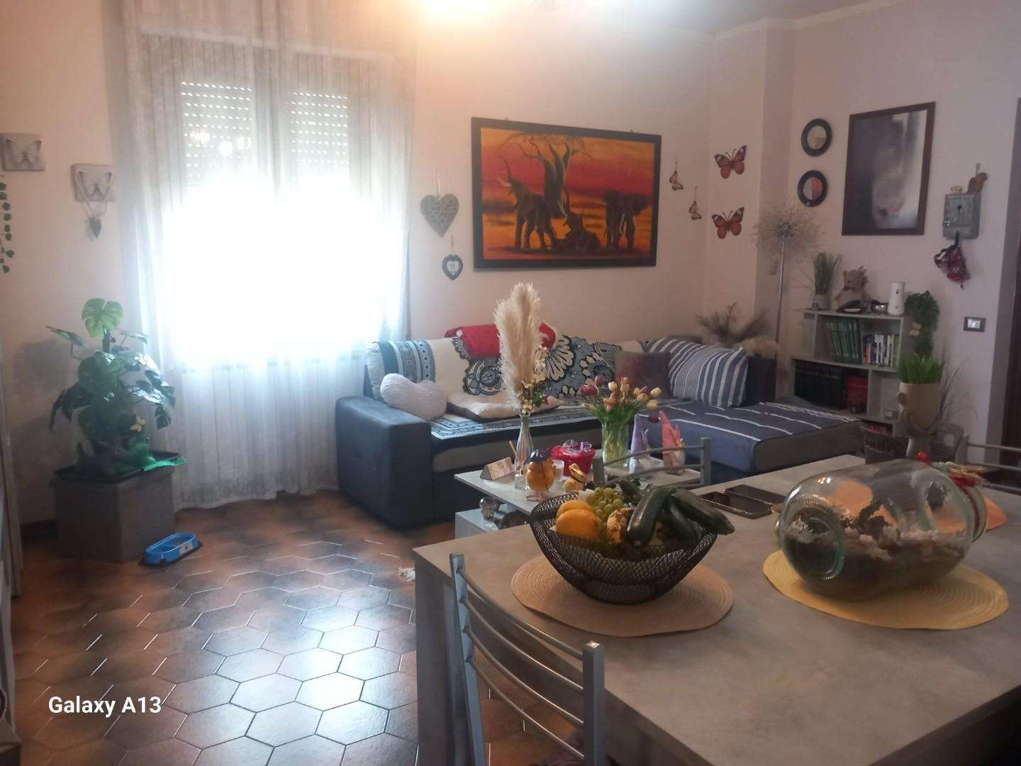 - foto 4