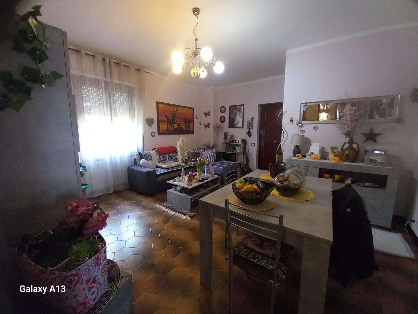  - foto 5