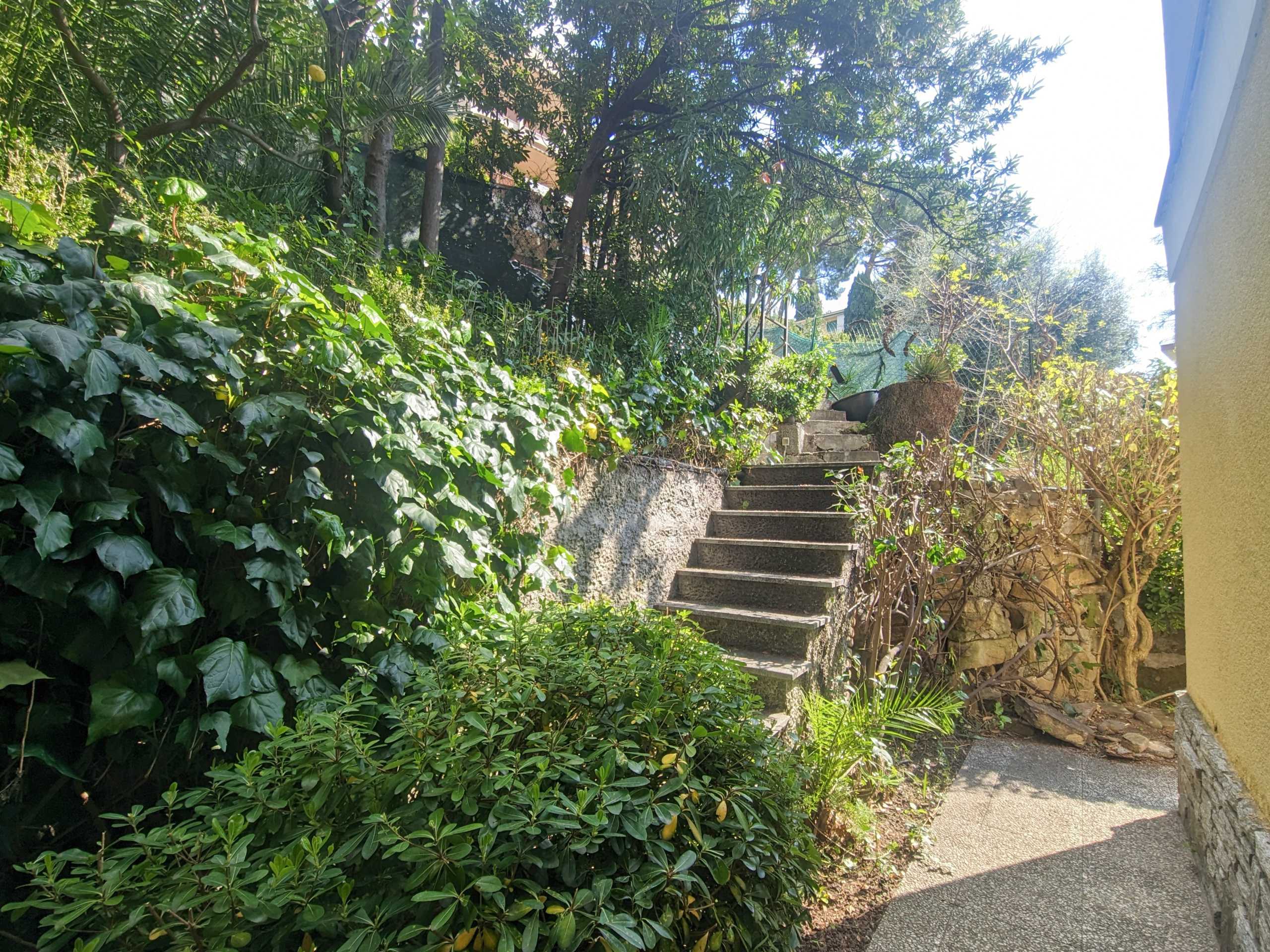  - foto 21