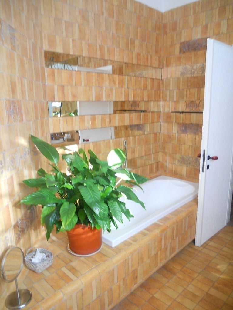  - foto 7
