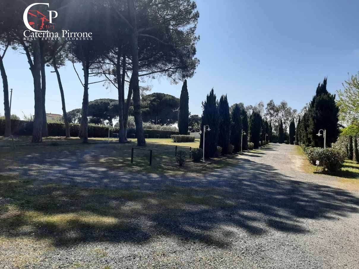  - foto 29
