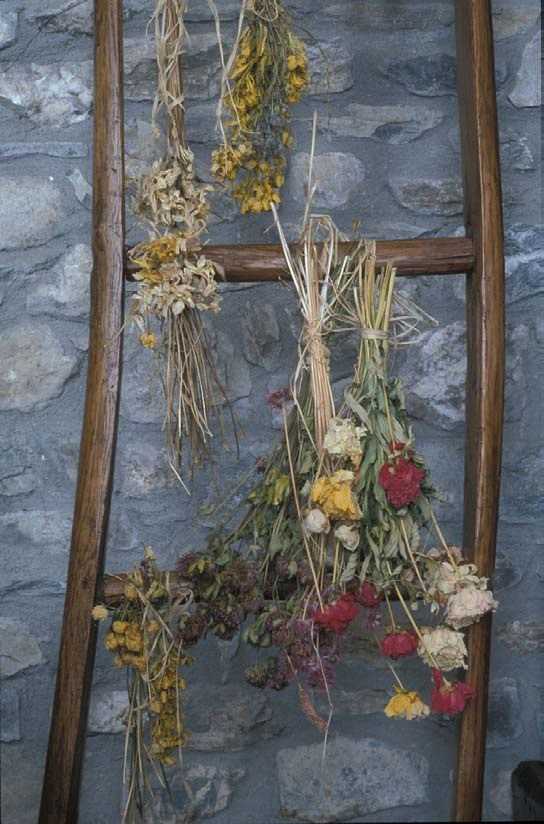  - foto 20