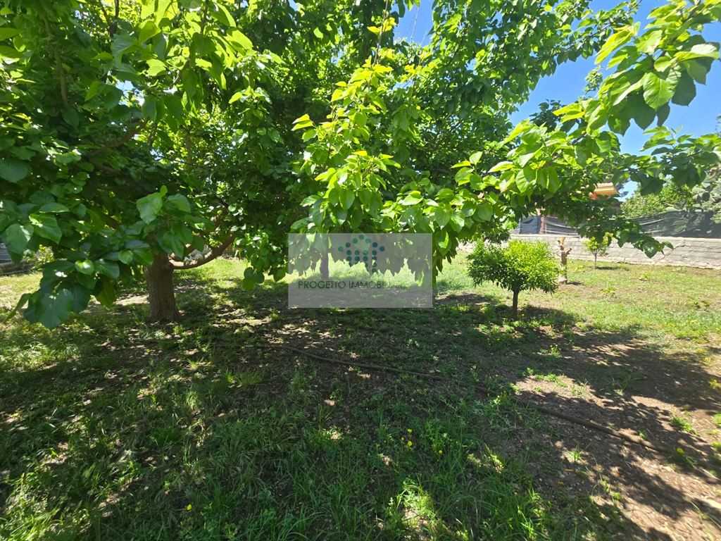  - foto 17