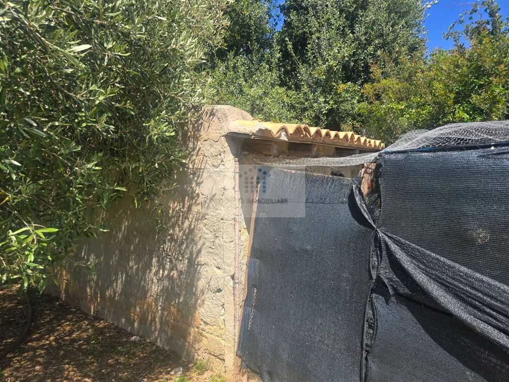  - foto 19