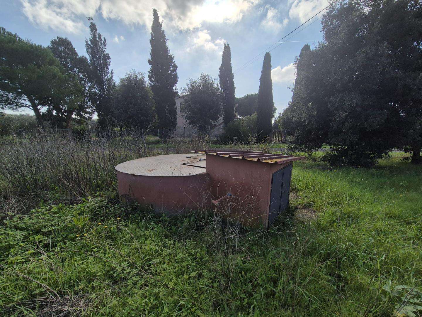  - foto 51