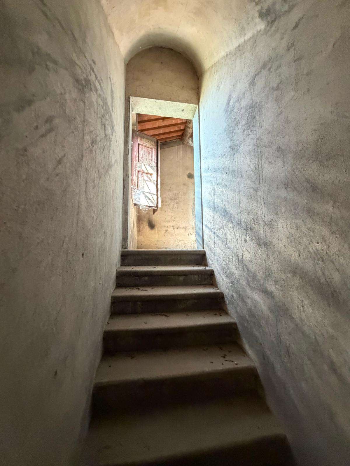  - foto 14