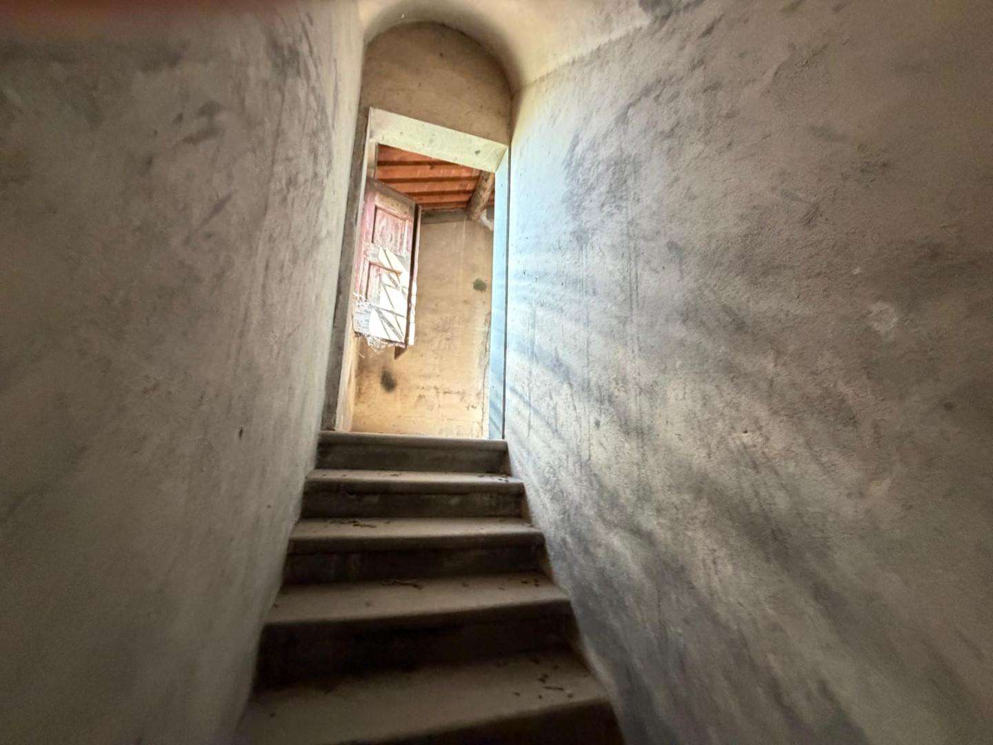  - foto 15
